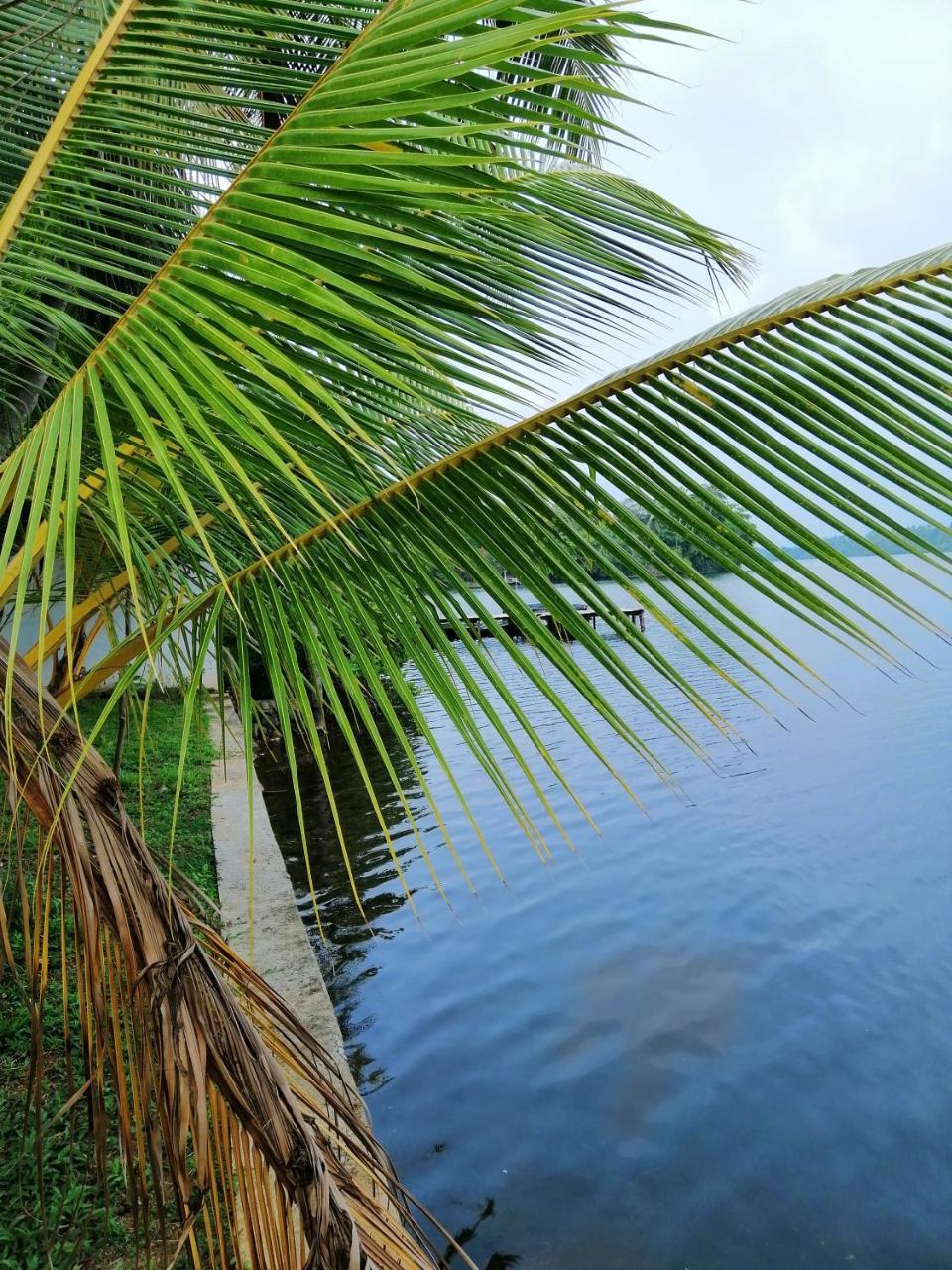 Hikka Lagoon Hikkaduwa Zewnętrze zdjęcie