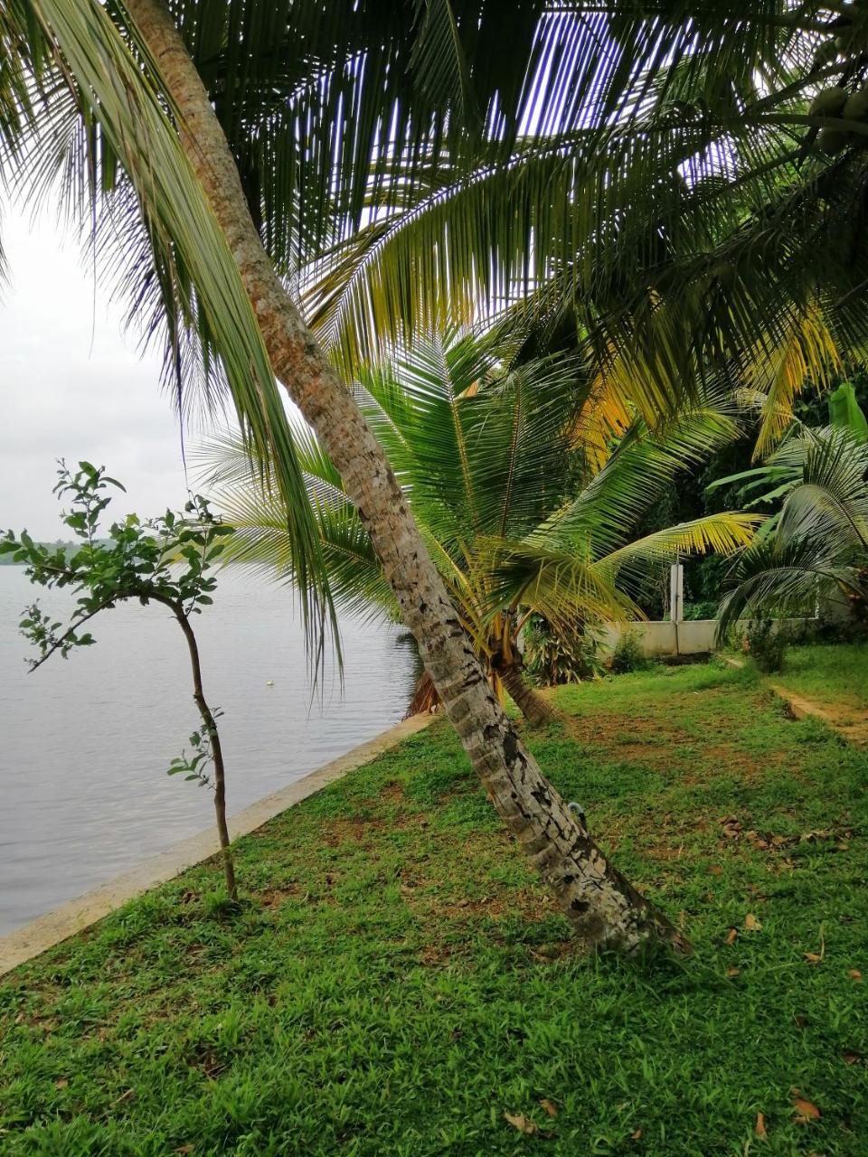 Hikka Lagoon Hikkaduwa Zewnętrze zdjęcie