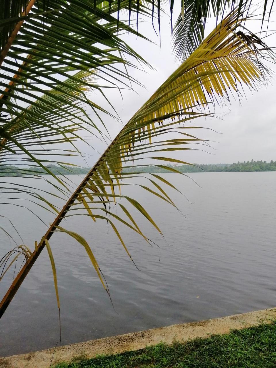 Hikka Lagoon Hikkaduwa Zewnętrze zdjęcie